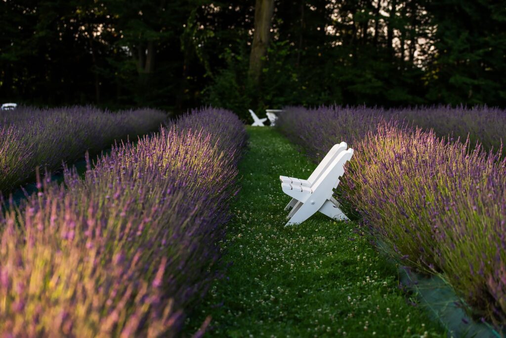 Lawenda za stodołą|O nas