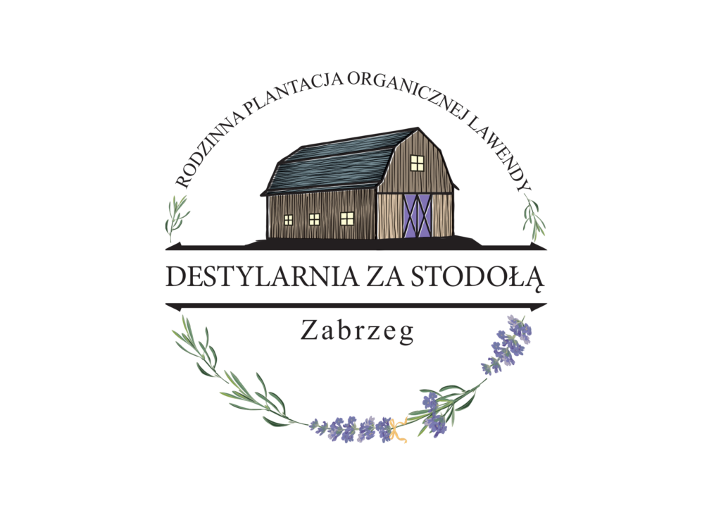 Lawenda za stodołą | Strona Główna