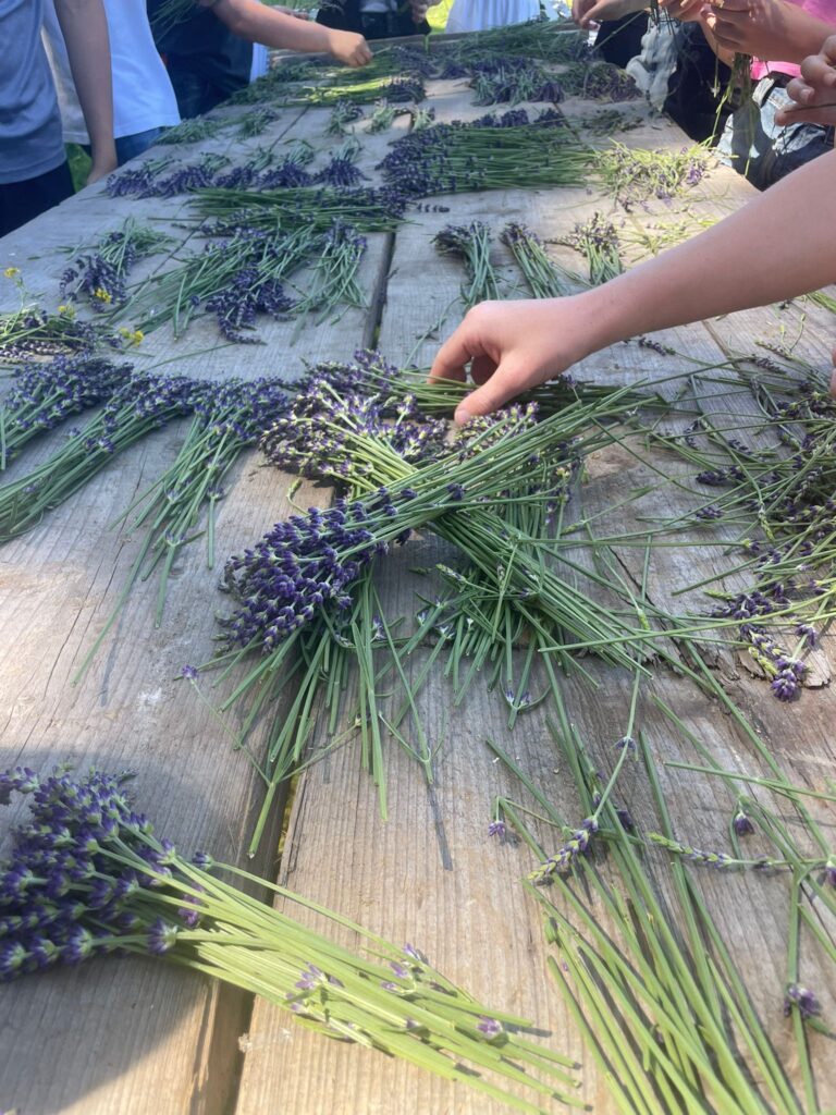 Lawenda za stodołą|Warsztaty