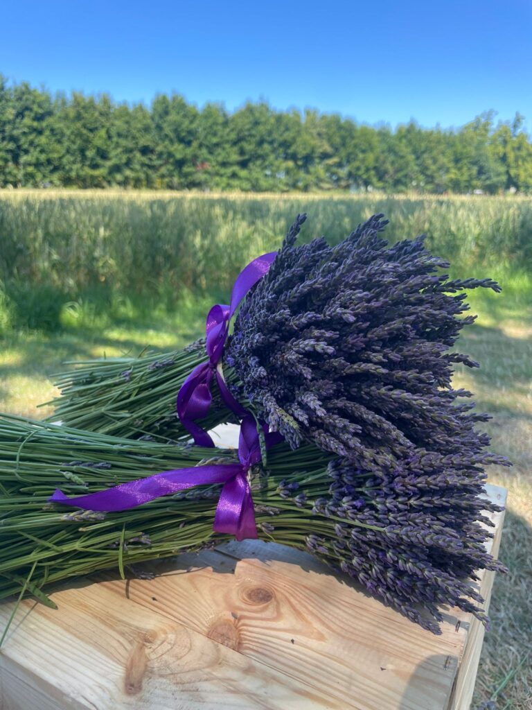 Lawenda za stodołą|Oferta ślubna